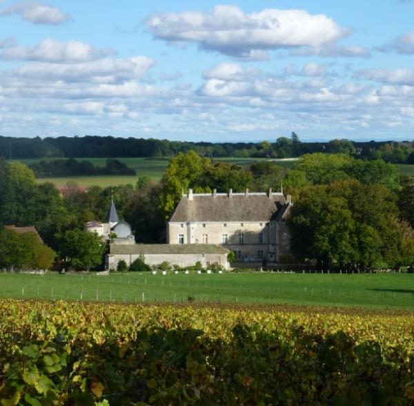 Conférence de la Saison culturelle 2021-2022 - Boire le vin à la cour de Bourgogne